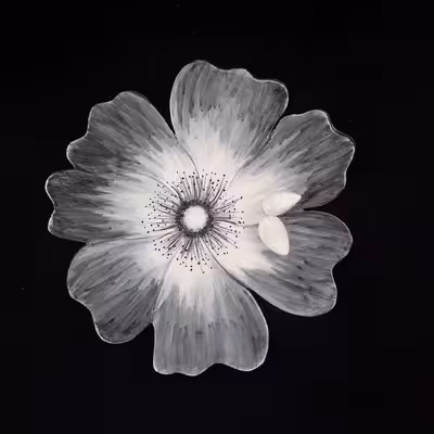 شیرینی خوری سرامیکی هیوا مدل نازگل کد 11024863