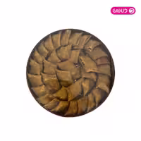 سوهان لقمه ای قرمز امین