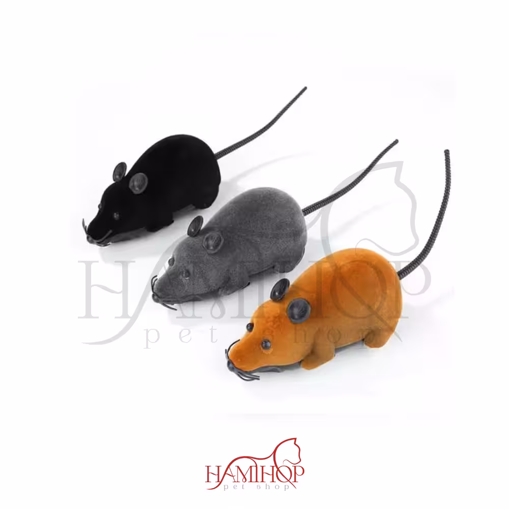 اسباب بازی گربه موش کنترلی