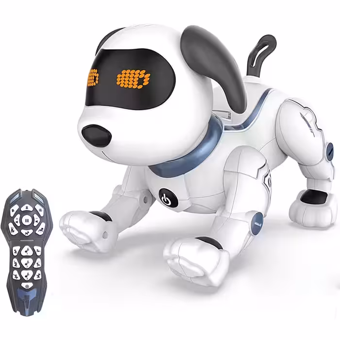 سگ رباتی کنترلی چند کاره کا 16