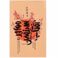 کتاب مهاجر سرزمین آفتاب با تخفیف ویژه چاپ اصل و نو  اثر حمید حسام و مسعود امیر خانی انتشارات سوره مهر