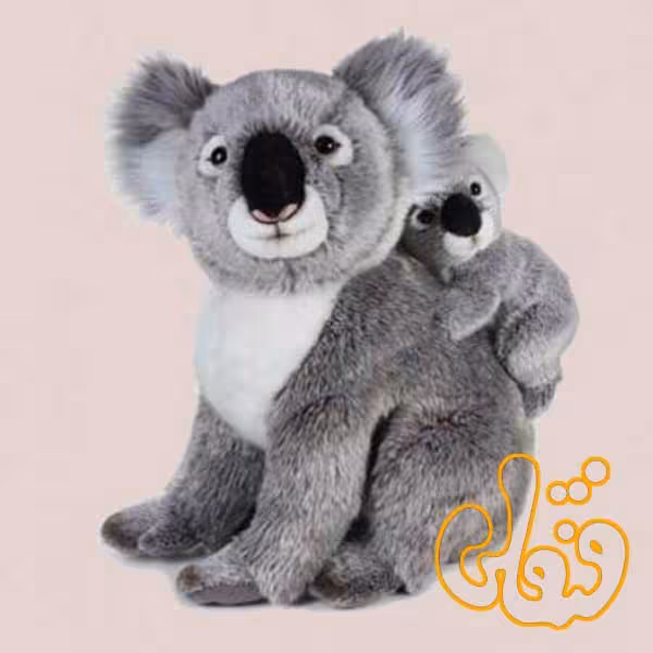 کوالا با بچه 770761