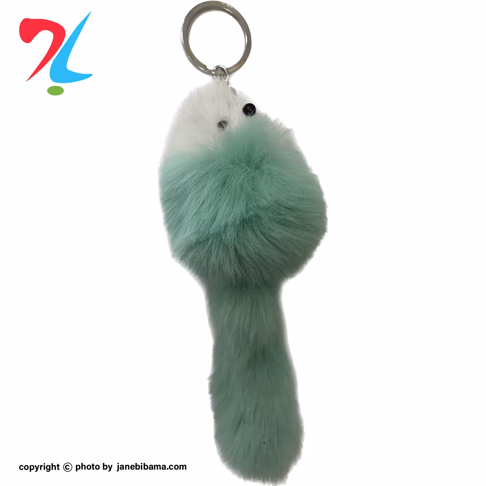 جاسوئیچی موش پشمالو دم دار