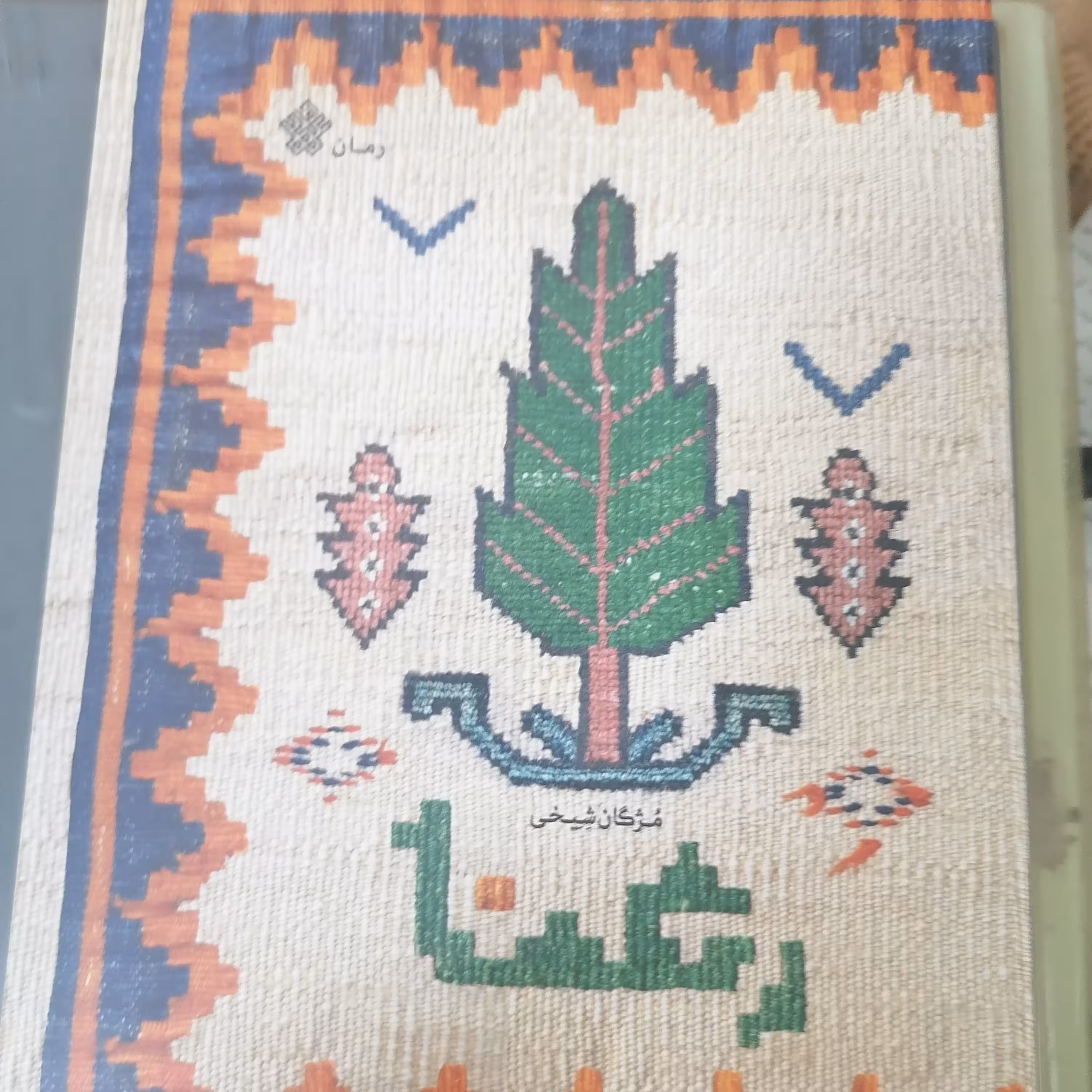 کتاب رعنا نوشته مژگان شیخی نشر عهدمانا