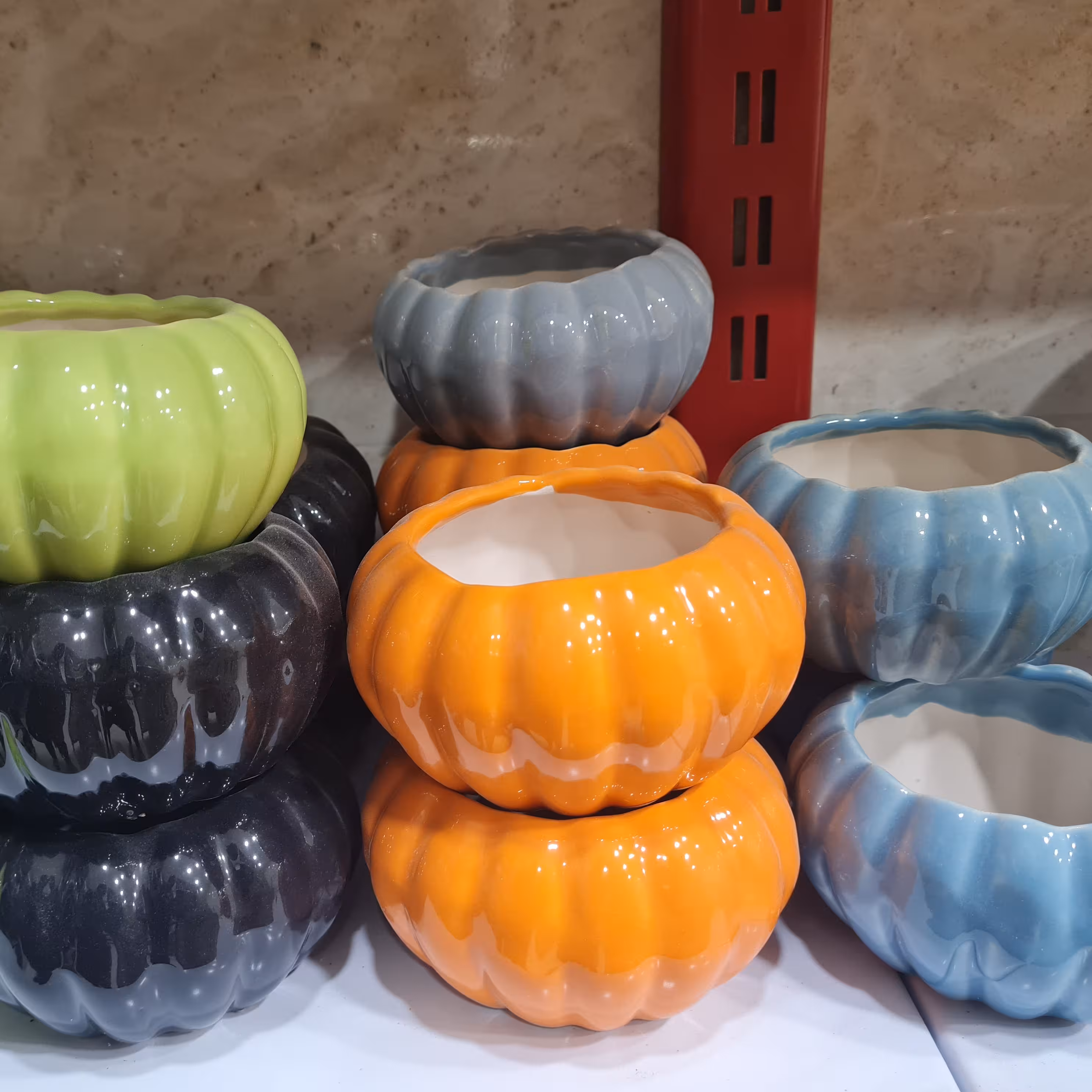 گلدان کاکتوس