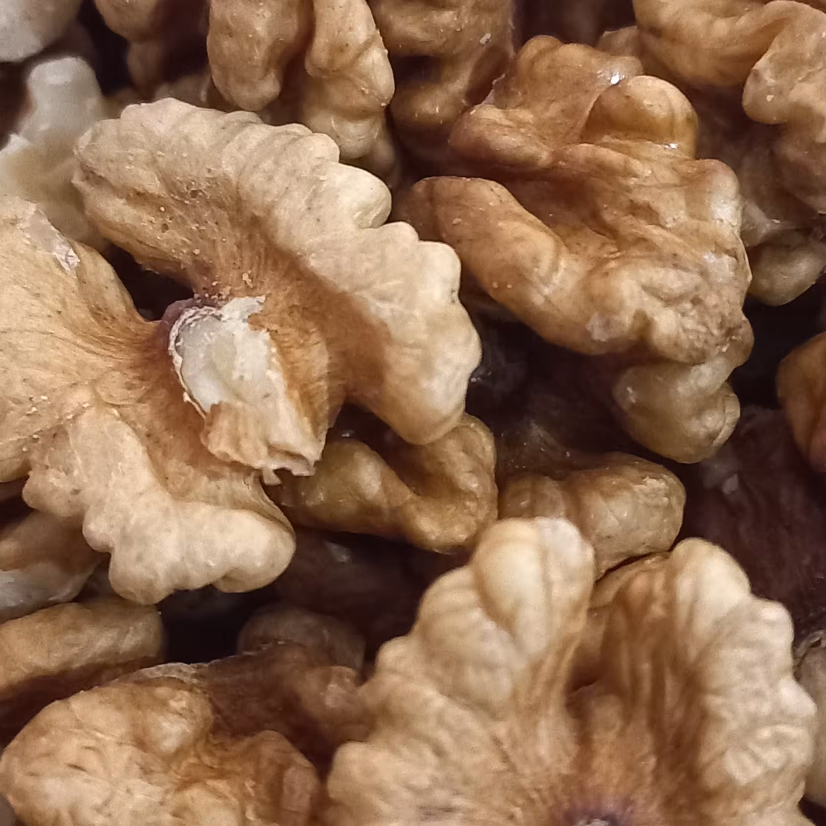 مغزگردو کارتن 5کیلویی