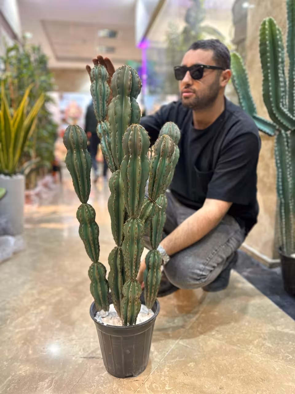 گل کاکتوس مصنوعی آپارتمانی