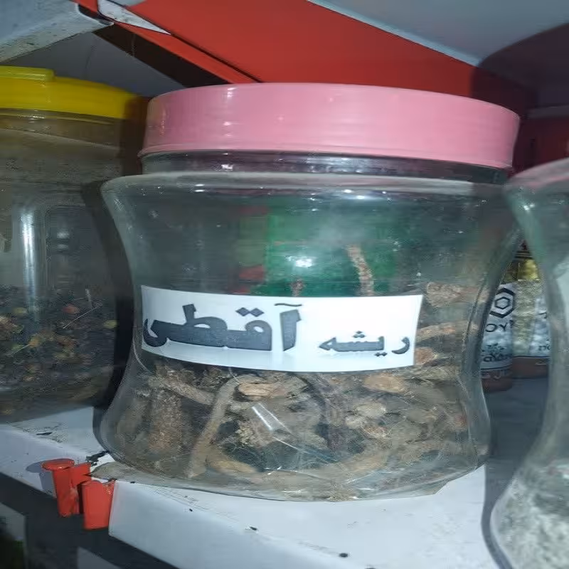 ریشه اقطی 75 گرمی خشک شده 