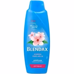 شامپو براق کننده و حجم دهنده بلنداکس Blendax حاوی شکوفه های گیلاس