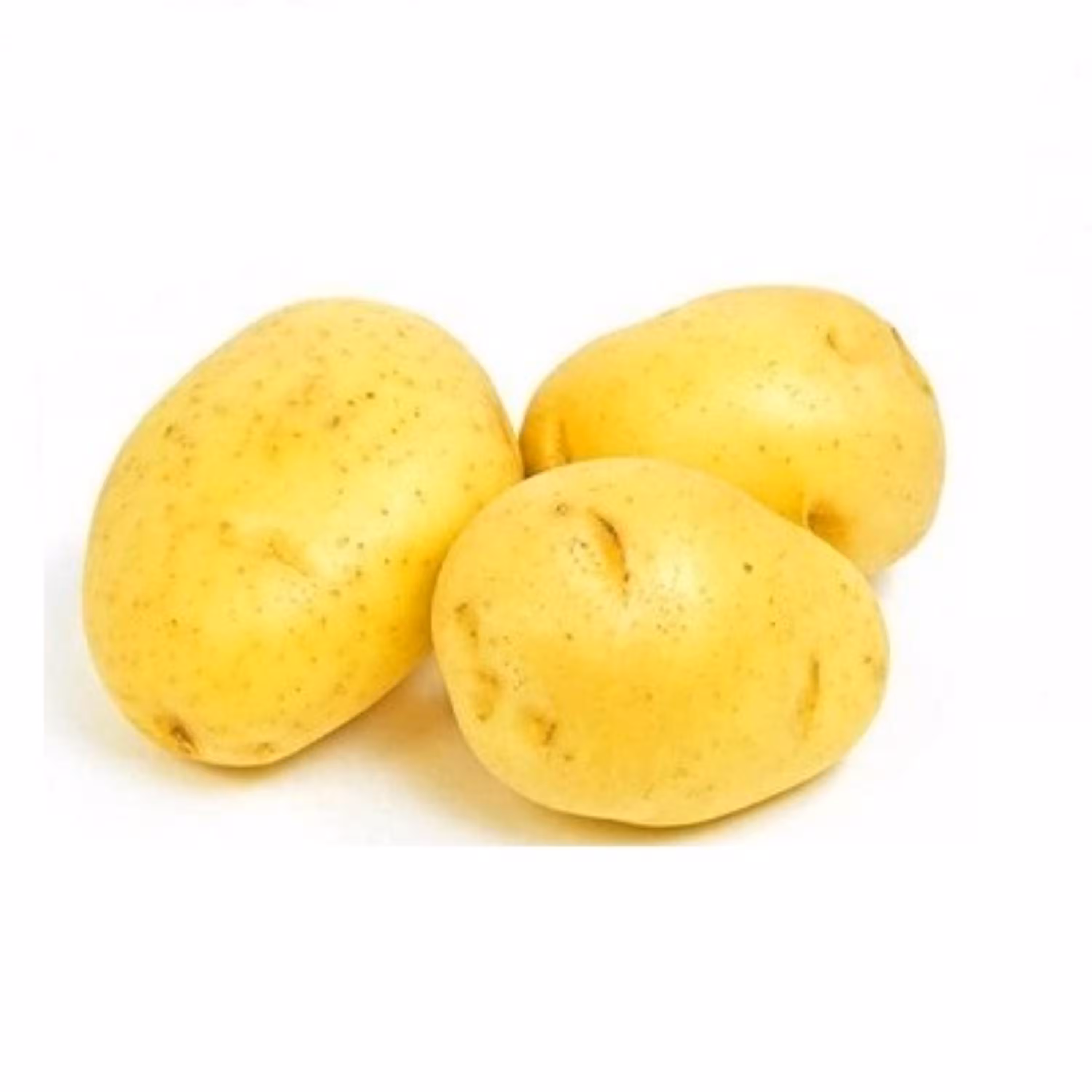 سیب زمینی یک کیلویی