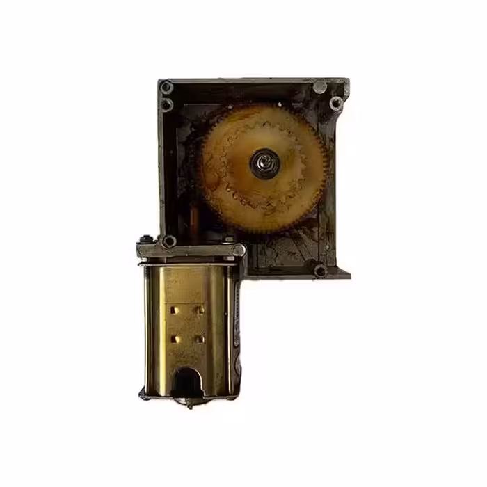 موتور گیربکس حلزونی 220 ولت DC فولی زنجیری