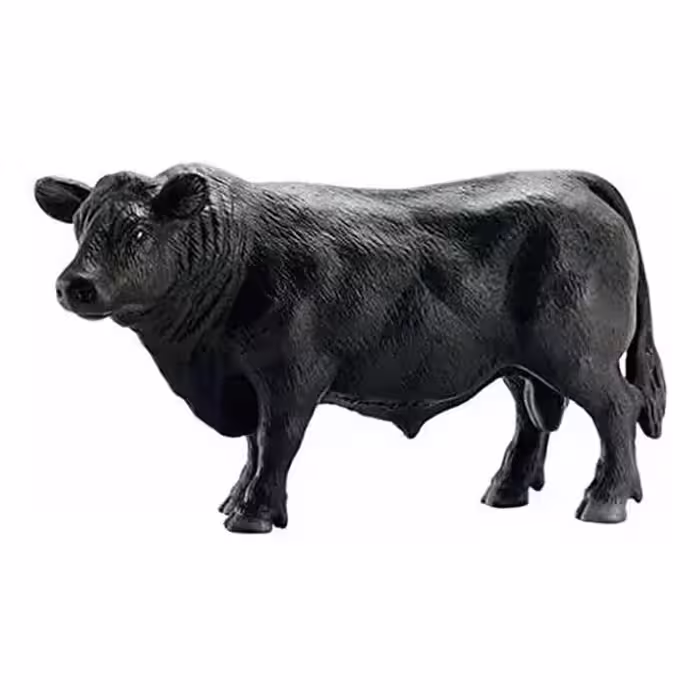 گاو آنگوس مشکی اشلایش Schleich