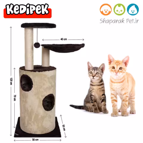 اسکرچر مدل انجیر کدی پک