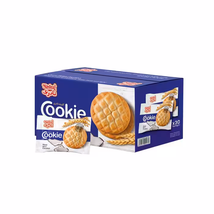 کلوچه صادراتی نادری 65 گرمی 30 عددی