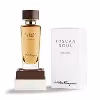 عطر مشترک زنانه مردانه سالواتور فراگامو وندمیا ادو تویلت salvatore ferragamo vendemmia edt