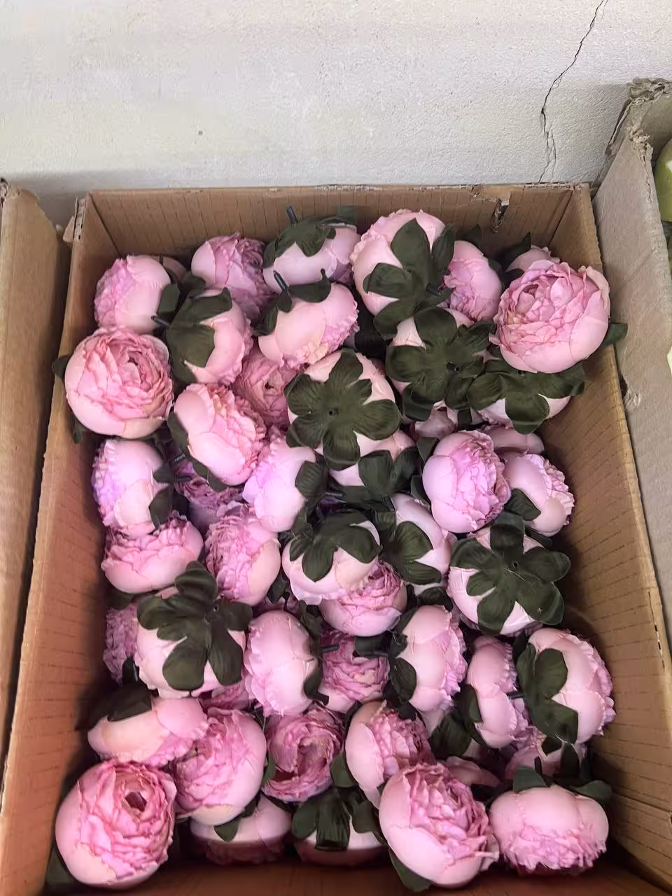 سرگل پیونی بزرگ رنگ صورتی کمرنگ 10عددی