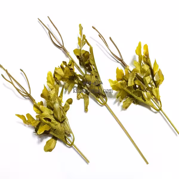 ساقه و برگ گل