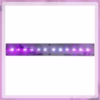 لامپ UV بلوم بوستر(bloom booster) 12وات (365 395) نانومتر KINGLED