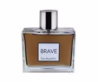 ادو پرفیوم مردانه رکسان مدل BRAVE حجم 100 میل