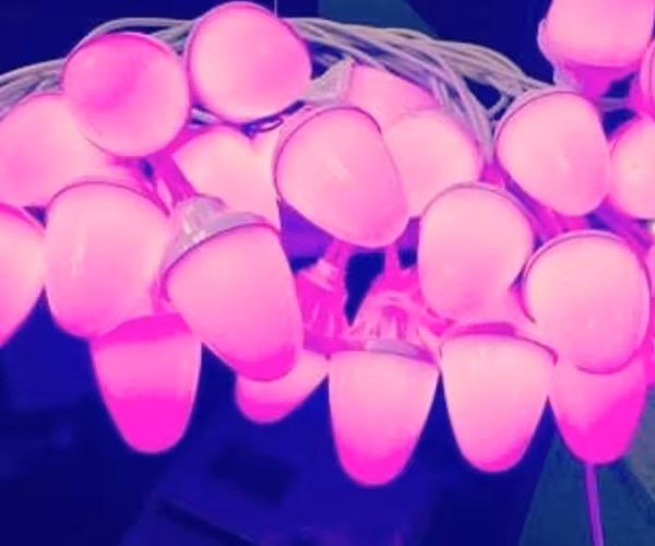 ریسه بلوطی مولتی