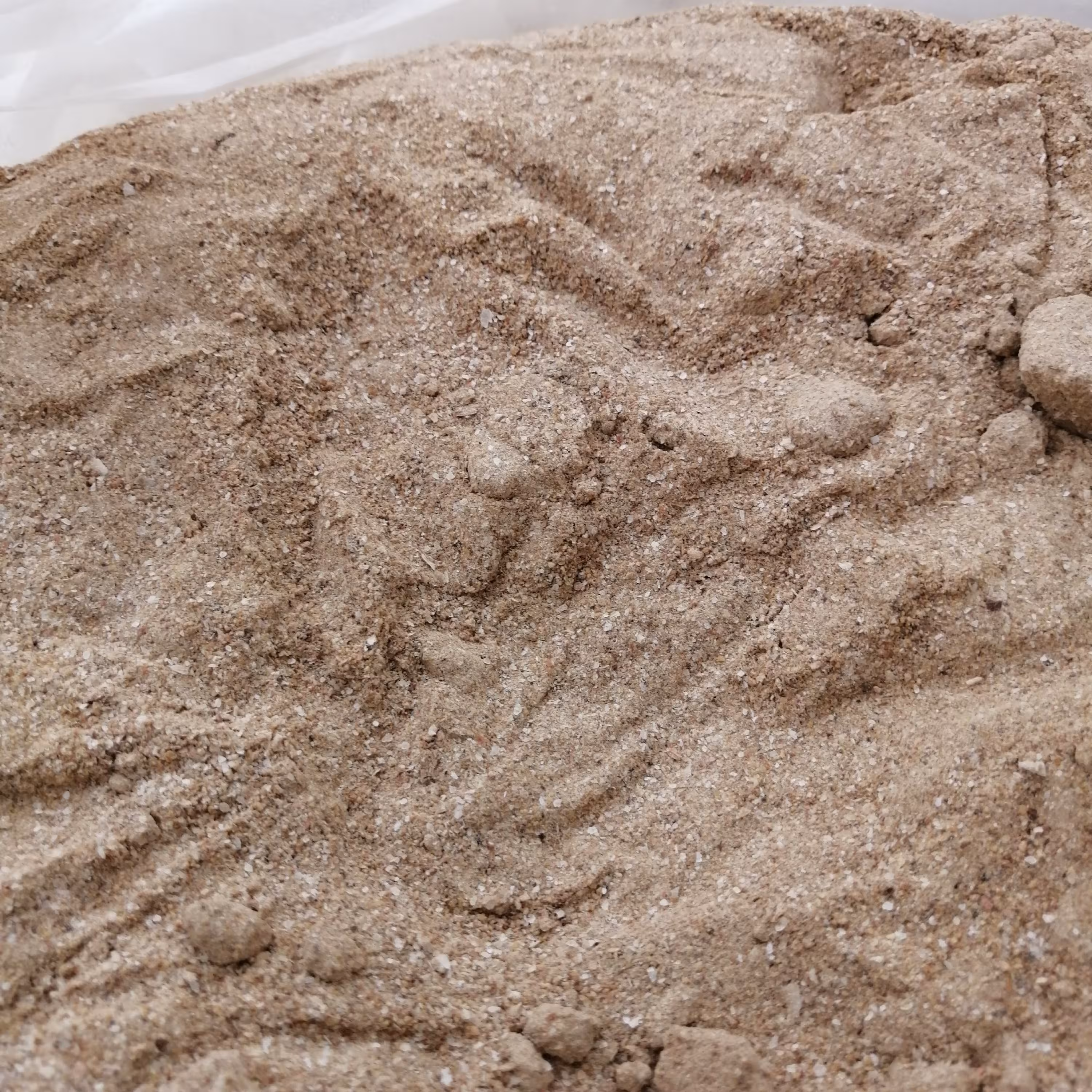 پودر پیاز خالص بسته (100 گرمی) 