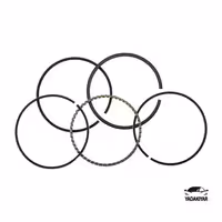 رینگ موتور 405 – XUM – هافنر