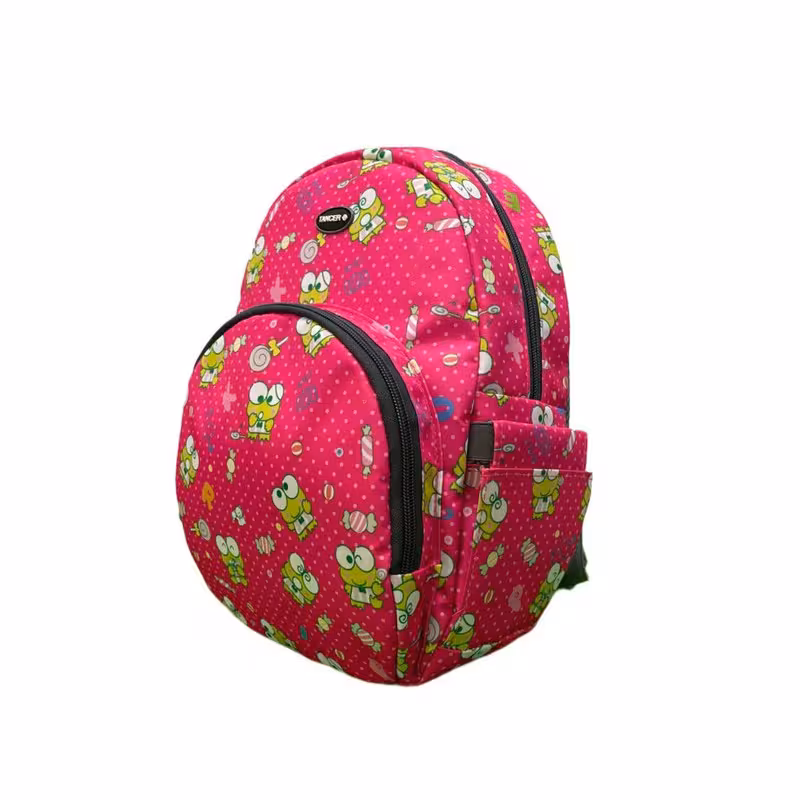 کوله پشتی مدرسه مدل MDSS-CH4089 | چاوه