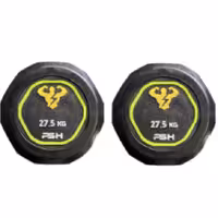 دمبل گرد وزن 27.5 کیلوگرم