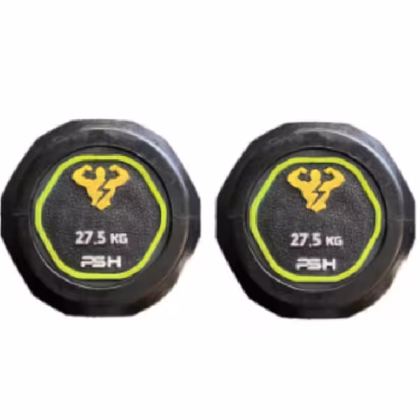 دمبل گرد وزن 27.5 کیلوگرم