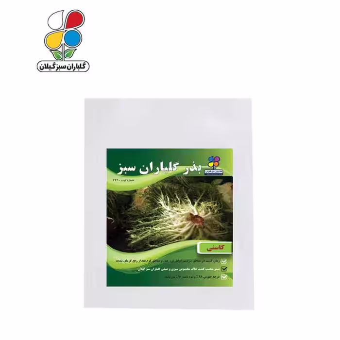 بذر کاسنی بسته بندی بزرگ ( بسته 24 عددی )