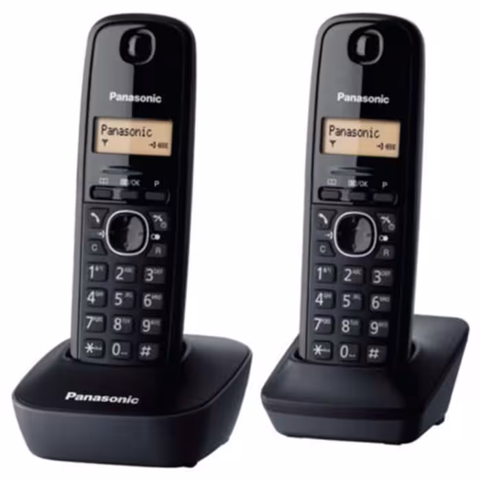 تلفن بیسیم پاناسونیک KX-TG1612