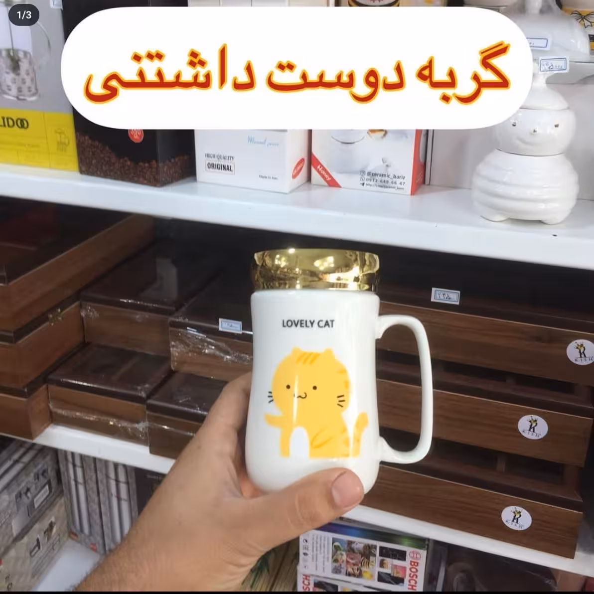 ماگ درب آیینه ای طرح گربه در ارزان پلاسکو خورشید شب 