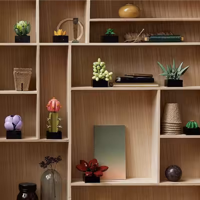 لگو سری گیاهان ساکولنت کد  10309