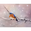 تابلوی نقاشی پاستل گچی طرح پرنده کد 0601