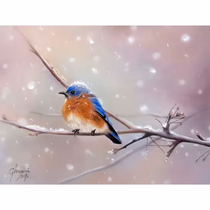 تابلوی نقاشی پاستل گچی طرح پرنده کد 0601