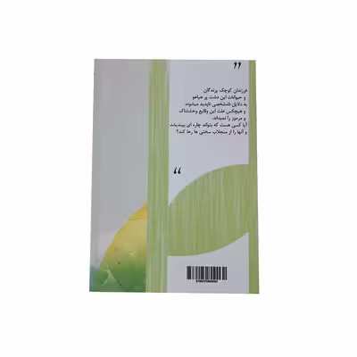 کتاب سفیدپر و ترلان اثر معصومه میربزرگی نشر خیابان