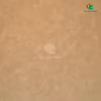 مقوا کرافت 300 گرم سوئدی تنوع سایز و تعداد