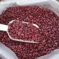 لوبیا قرمز دستچین امسالی خوشپخت به شرط پزا ( تمیز و پاک شده)