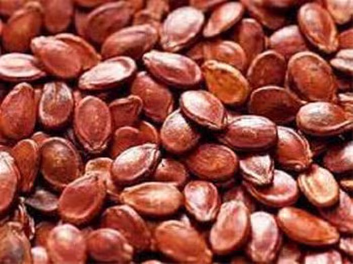 بذر هندوانه ژاپنی (بذر هندوانه آجیلی)