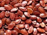 بذر هندوانه ژاپنی (بذر هندوانه آجیلی)