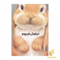 کتاب خرگوش کوچولو (مقوایی-رحلی) اثر جیووانی کاویزل نشر کتاب های زنبور- گاج