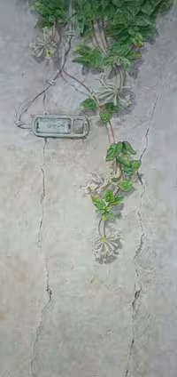 تابلو نقاشی کد 101045