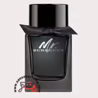 عطر ادکلن باربری مستر باربری ادو پرفیوم | burberry mr. burberry eau de parfum