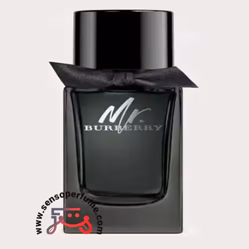 عطر ادکلن باربری مستر باربری ادو پرفیوم | burberry mr. burberry eau de parfum