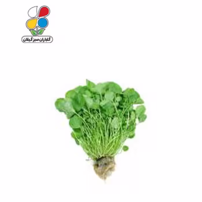 بذر شاهی بسته بندی کوچک