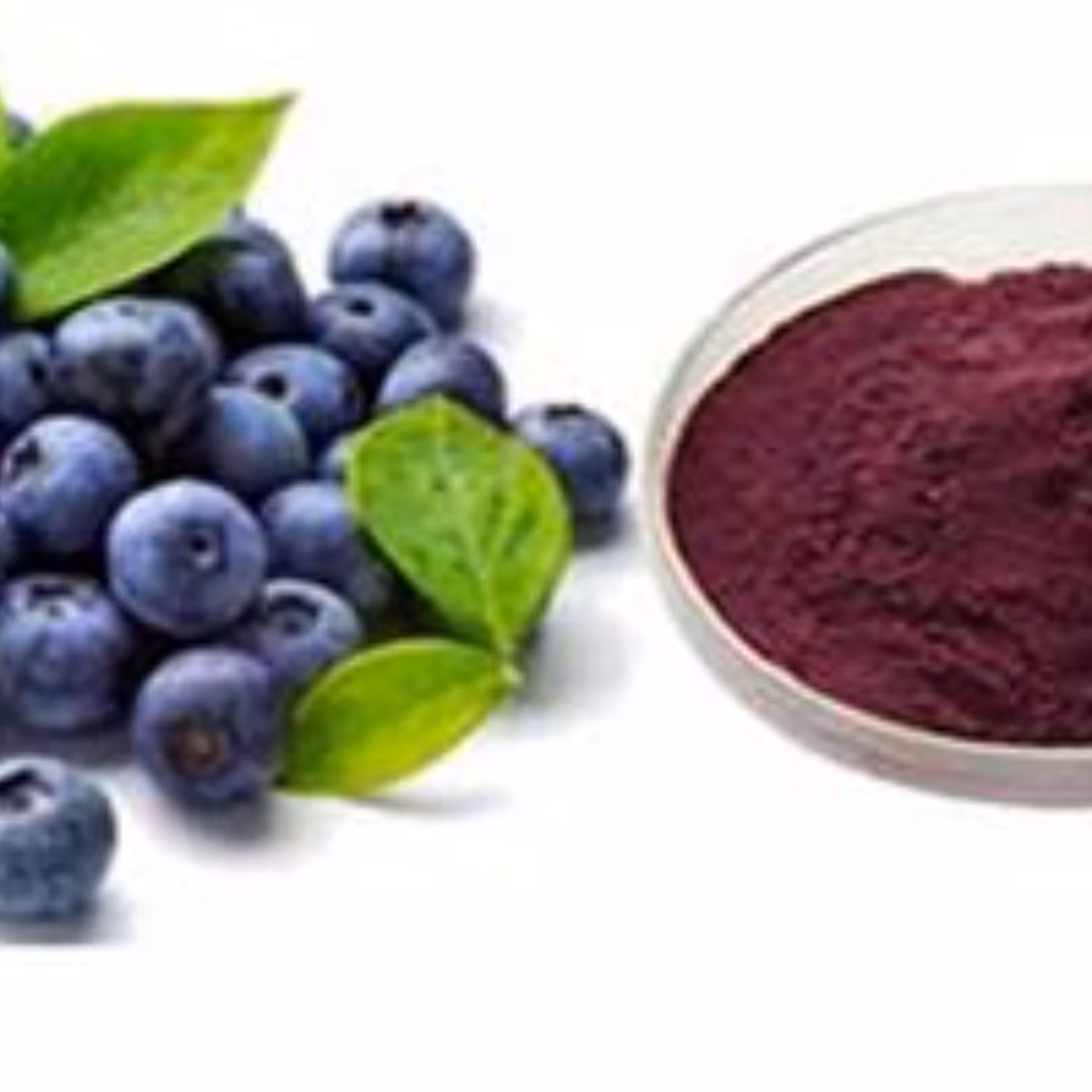 اسانس بلوبری پودری درجه یک  در بسته بندی 500 گرمی