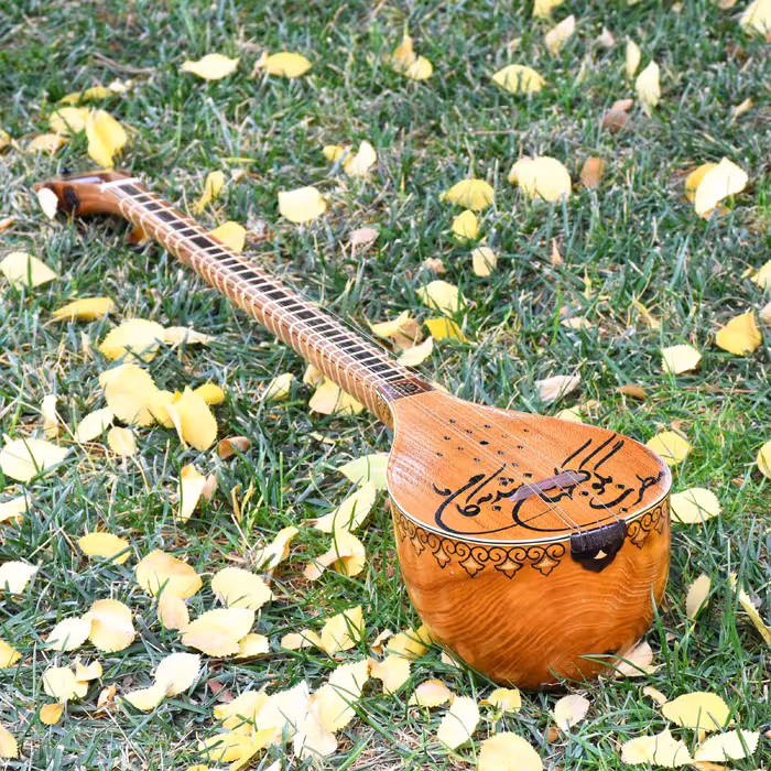 سه تار ایران ساز مدل جهان