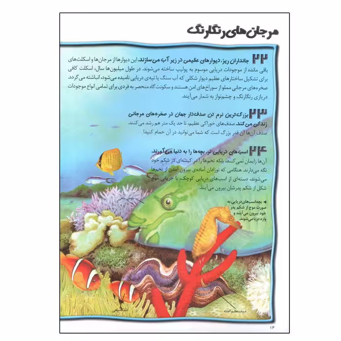کتاب 100 حقیقت درباره ی اقیانوس ها اثر کلر الیور انتشارات سایه گستر