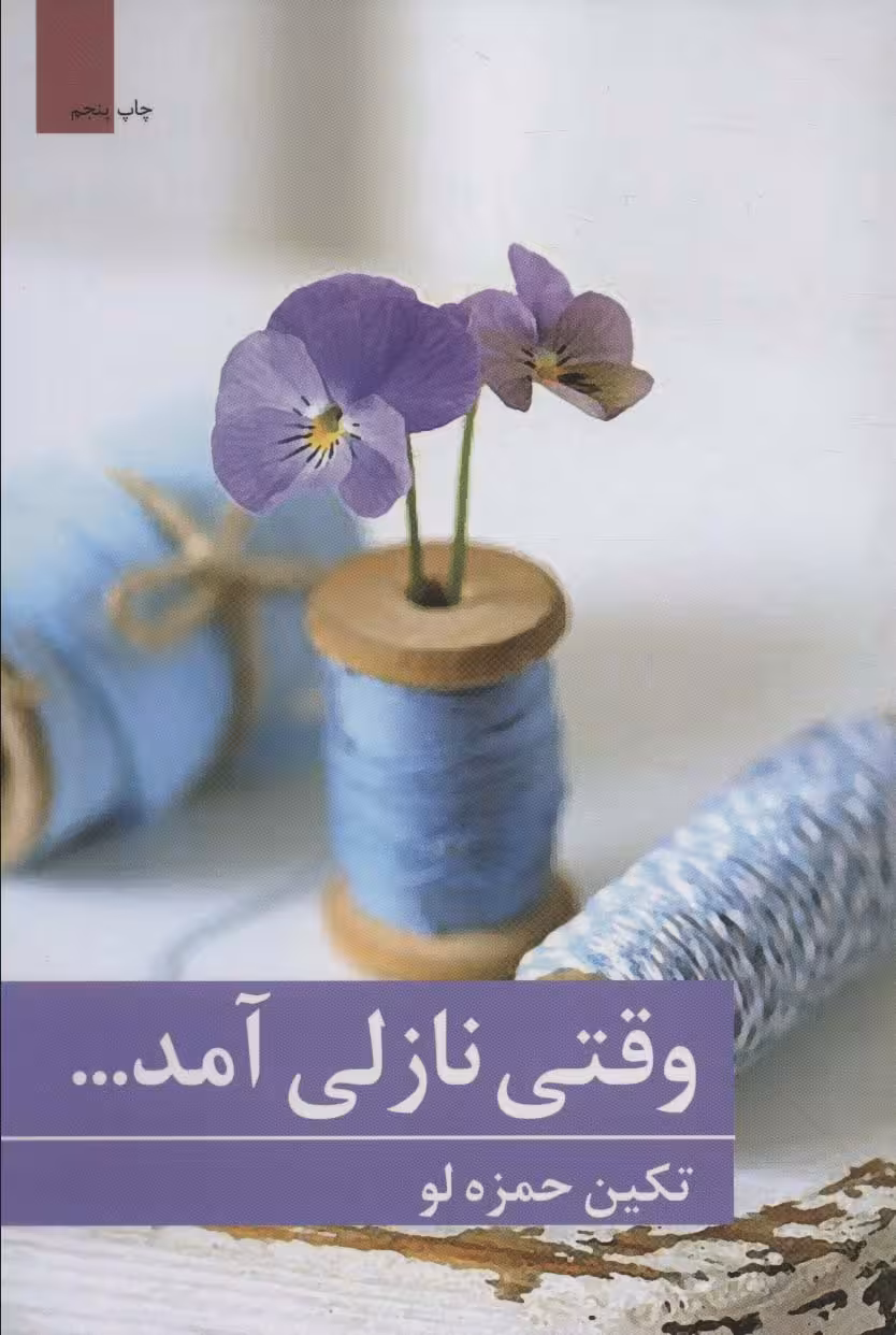 وقتی نازلی آمد... (رمان ایرانی77) - ناشربوک | خرید آنلاین کتاب