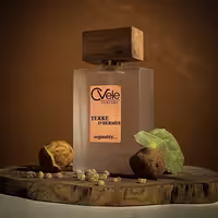 عطر ادکلن مردانه تری تق هرمس نسخه اختصاصی سیوله | Special Grade